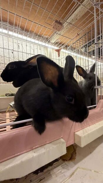 🔥 Catiescos  page leaked private photo uncensored full