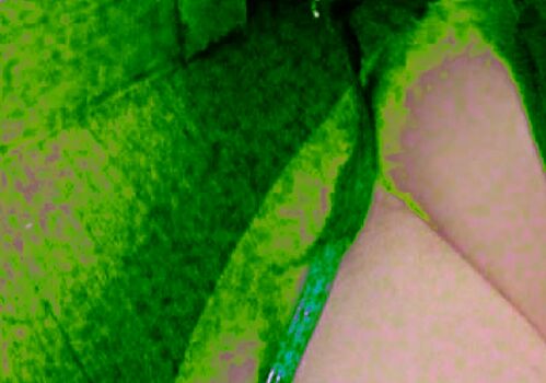 🔥 Evawishx leaked private photo uncensored full