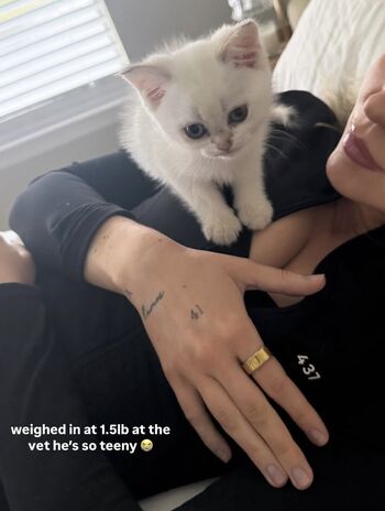 🔥 Hailey malles page leaked private photo uncensored full